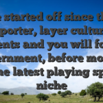 She started off since the a reporter, layer cultural incidents and you will foreign government, before moving into the latest playing specific niche