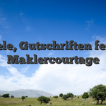 Spiele, Gutschriften ferner Maklercourtage
