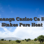 Spinanga Casino Ca High Stakes Pure Heat