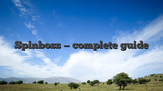 Spinboss — complete guide