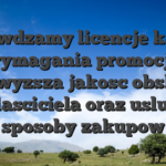 Sprawdzamy licencje kasyn, wymagania promocji, najwyzsza jakosc obslugi wlasciciela oraz uslugi sposoby zakupow