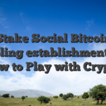 Stake Social Bitcoin Gambling establishment : Just how to Play with Crypto