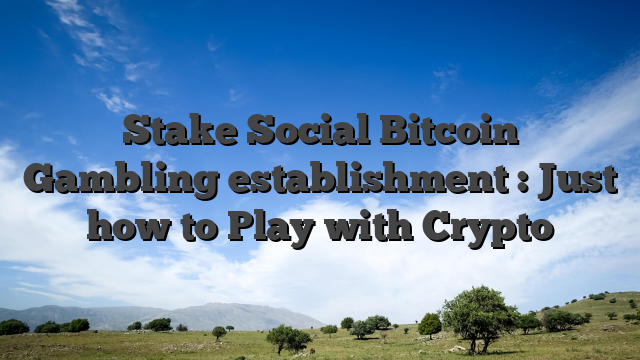 Stake Social Bitcoin Gambling establishment : Just how to Play with Crypto