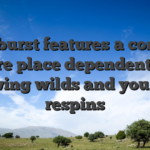 Starburst features a concise feature place dependent up to growing wilds and you may respins