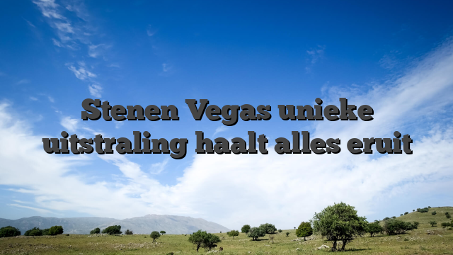 Stenen Vegas unieke uitstraling haalt alles eruit