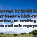 Supported by MGM Hotel, they keeps a high-rated application, an exciting perks system and safe repayments