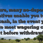 Sure, many no-deposit incentives enable you to win real cash, in the event you’ll want to meet wagering criteria just before withdrawing