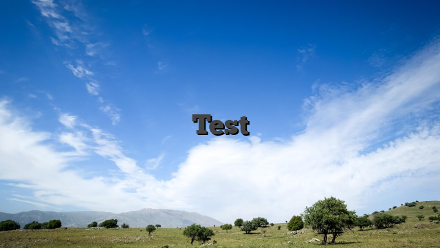 Test