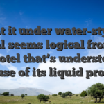 That it under water-styled reveal seems logical from the a hotel that’s understood because of its liquid provides