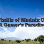 The Thrills of Madnix Casino A Gamer’s Paradise