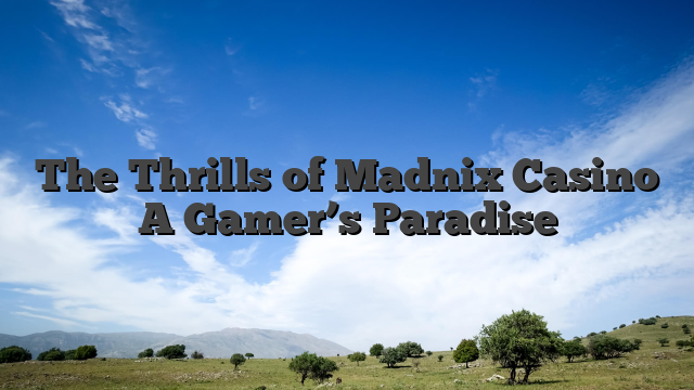 The Thrills of Madnix Casino A Gamer’s Paradise