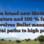 The brand new Modern Feature and 100 % free Revolves Bullet manage several paths to high profits