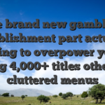 The brand new gambling establishment part actually trying to overpower your having 4,000+ titles otherwise cluttered menus