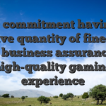 The commitment having a massive quantity of finest-tier app business assurances a high-quality gaming experience