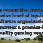 The connection having a massive level of top-level software organization guarantees a premier-high quality gaming sense