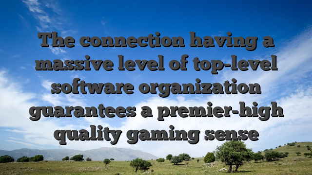 The connection having a massive level of top-level software organization guarantees a premier-high quality gaming sense