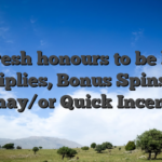 The fresh honours to be had is Multiplies, Bonus Spins and you may/or Quick Incentives