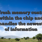 The fresh memory controller sits within the chip and you may handles the newest flow of information