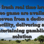 The fresh real time broker video game are available 24/seven from a dedicated facility, delivering an entertaining gambling solution