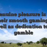 The genuine pleasure is based on their smooth gaming feel as well as dedication to fair gamble
