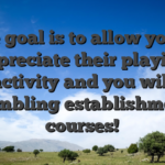 The goal is to allow you to appreciate their playing activity and you will gambling establishment courses!