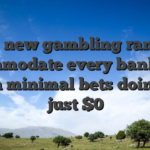 The new gambling ranges accommodate every bankrolls, with minimal bets doing at just $0