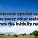 The new nuts symbol appears into the every other reels apart from the initially reel
