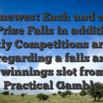The newest Each and every day Prize Falls in addition to Weekly Competitions are two have regarding a falls and you will winnings slot from the Practical Gamble