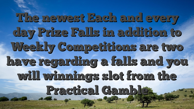 The newest Each and every day Prize Falls in addition to Weekly Competitions are two have regarding a falls and you will winnings slot from the Practical Gamble