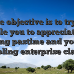 The objective is to try to enable you to appreciate the playing pastime and you can gambling enterprise classes!