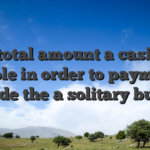 The total amount a casino is liable in order to payment inside the a solitary bullet