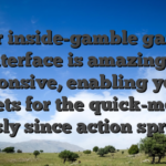 Their inside-gamble gaming interface is amazingly responsive, enabling you to lay bets for the quick-moving lessly since action spread