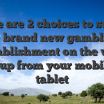 There are 2 choices to supply the brand new gambling establishment on the web Pin-up from your mobile or tablet