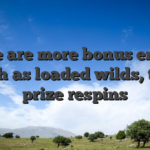 There are more bonus enjoys, such as loaded wilds, that prize respins