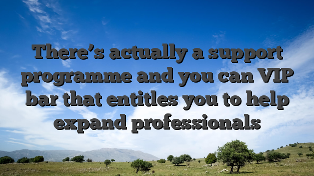 There’s actually a support programme and you can VIP bar that entitles you to help expand professionals