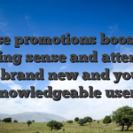These promotions boost the gaming sense and attention both brand new and you can knowledgeable users