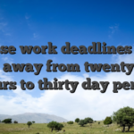 These work deadlines can vary away from twenty four hours to thirty day period