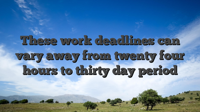 These work deadlines can vary away from twenty four hours to thirty day period