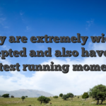 They are extremely widely accepted and also have the fastest running moments