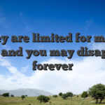 They are limited for many days and you may disappear forever