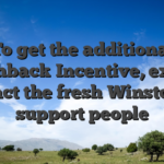 To get the additional Cashback Incentive, excite contact the fresh WinstonBet support people
