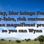 Today, Dior brings French savoir-faire, rich customs and you can magnificent products so you can Wynn