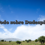 Todo sobre Dudespin