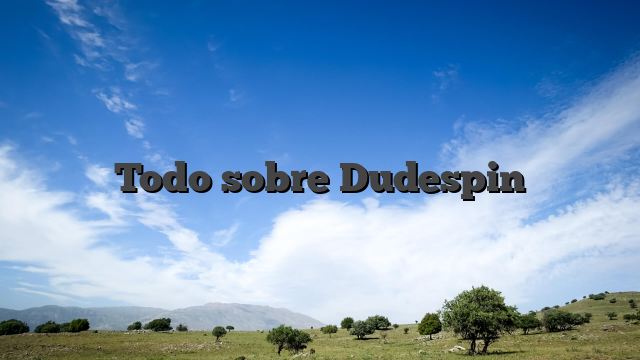 Todo sobre Dudespin