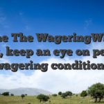 Tune The WageringWhile easy, keep an eye on people wagering conditions