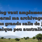 Un blog vaut amplement son aide parmi ma archivage leurs plus grands salle de jeu quelque peu australiens