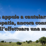 Una appuie a cautelarsi la ludopatia, ancora consiste nell’effettuare una maS