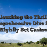 Unleashing the Thrill A Comprehensive Dive into Highfly Bet Casino