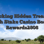 Unlocking Hidden Treasures with Stake Casino Bonus Rewards2808