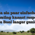 Via ein paar einfachen Cheating kannst respons deine Boni langer genie?en